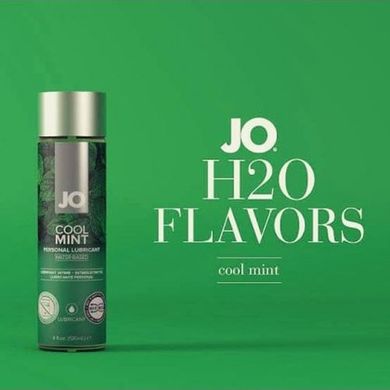 Змазка на водній основі System JO H2O — Cool Mint (120 мл) без цукру, рослинний гліцерин SO1775 фото