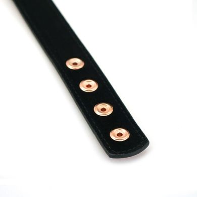 Ошейник с зажимами для сосков Liebe Seele Rose Gold Memory Collar with Nipple Clamps SO9495 фото