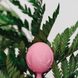 Вагінальні кульки Adrien Lastic Geisha Lastic Balls Mini Pink (S), діаметр 3,4 см, маса 85 г AD40431 фото 1