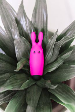 Вибропуля Adrien Lastic Pocket Vibe Rabbit Pink со стимулирующими ушками AD33421 фото
